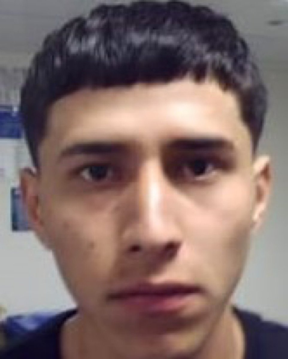 willmikemadeit's tweet image. A violent 21 year old Ecuadorian illegal has been CAPTURED. 👏🏻 #IceIceBaby 

Previous charges include:
- Assault
- Breach of peace
- Violating a protection order
- Resisting arrest
- Disorderly conduct