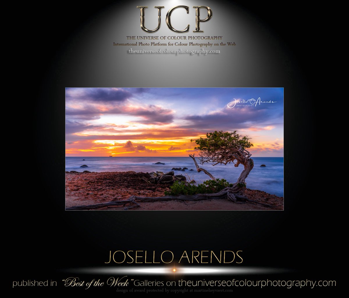 Twisted Tree on Rocky North Coast of Aruba at Sunset with Ocean and Dramatic Clouds
25% off all prints and wall art with code DSFBEX at checkout. Offer ends Sept 6, 2025.  Buy Now joselloarends.pixels.com  
#ArtCollectors  
#PhotographyPrints  
#GalleryPrints  
#LimitedEditionArt