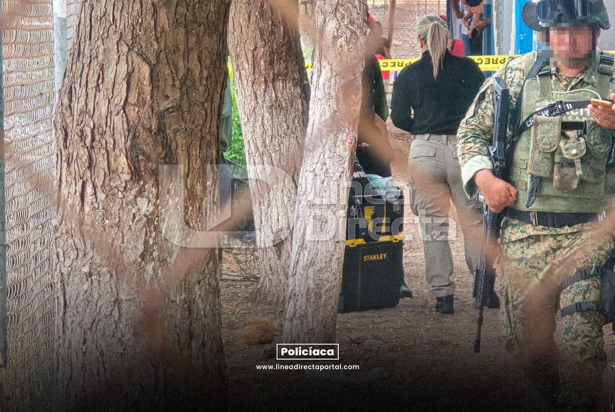 linea_directa's tweet photo. 🚨 A balazos asesinan a un joven en cuarterías de Villa Juárez, #Navolato
#Policiaca #LDInforma #LDNoticias #NotaRoja #Homicidio https://t.co/rnw0DnVBOf