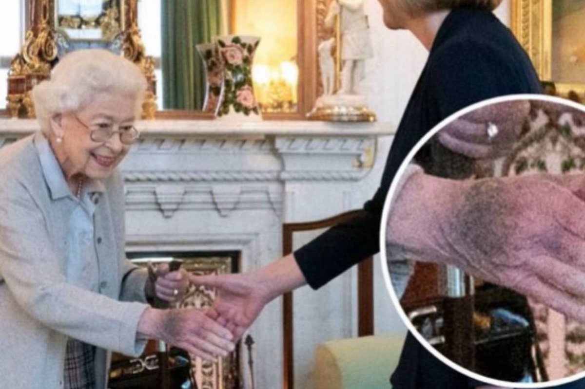 _TruthZone_'s tweet image. Queen Elizabeth&apos;s hand two days before she passed away and Donald Trump&apos;s hand. 😳😳