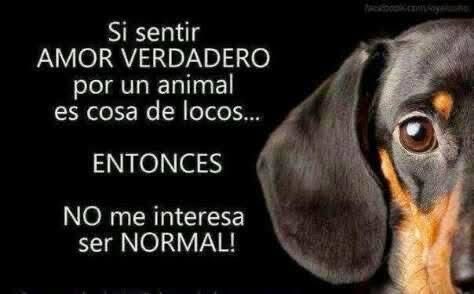 Para nada!🤪