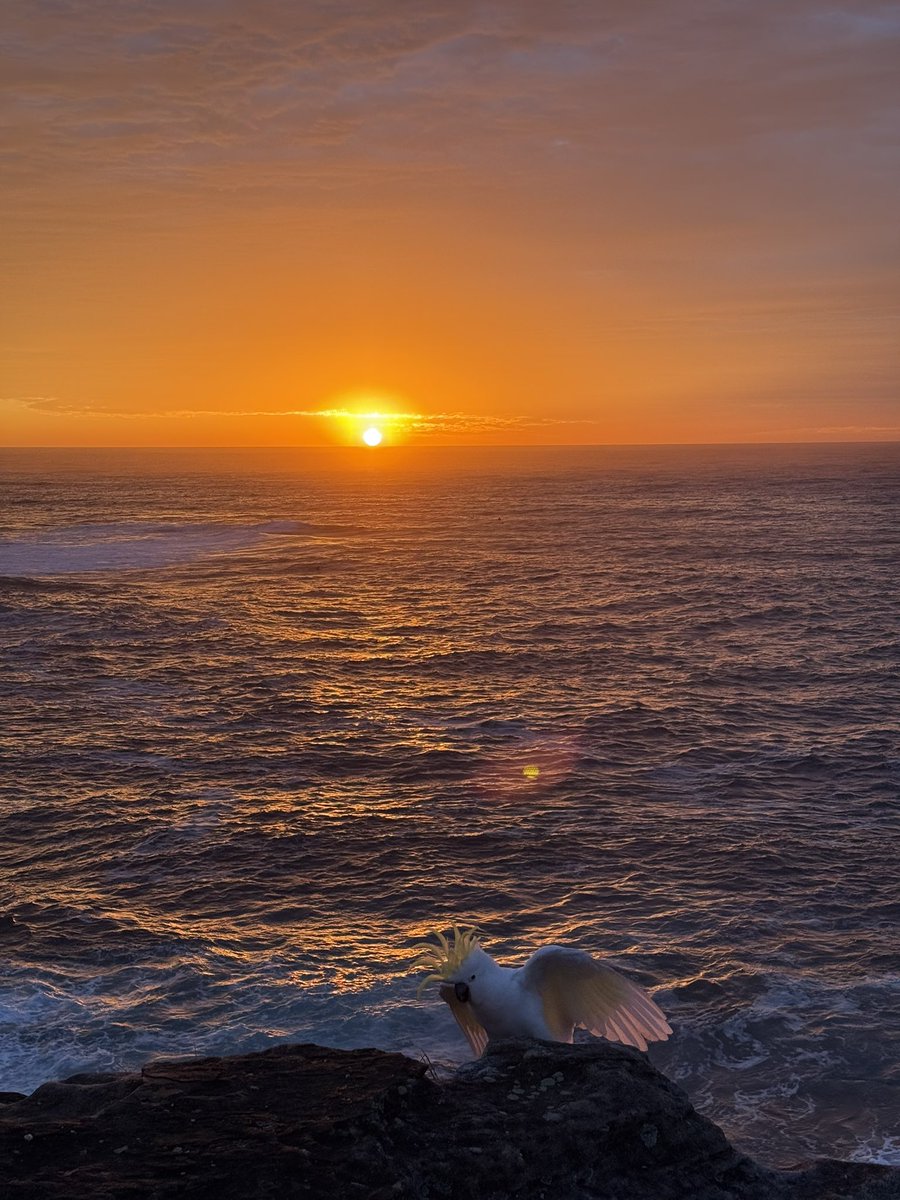 this morning was insane actually