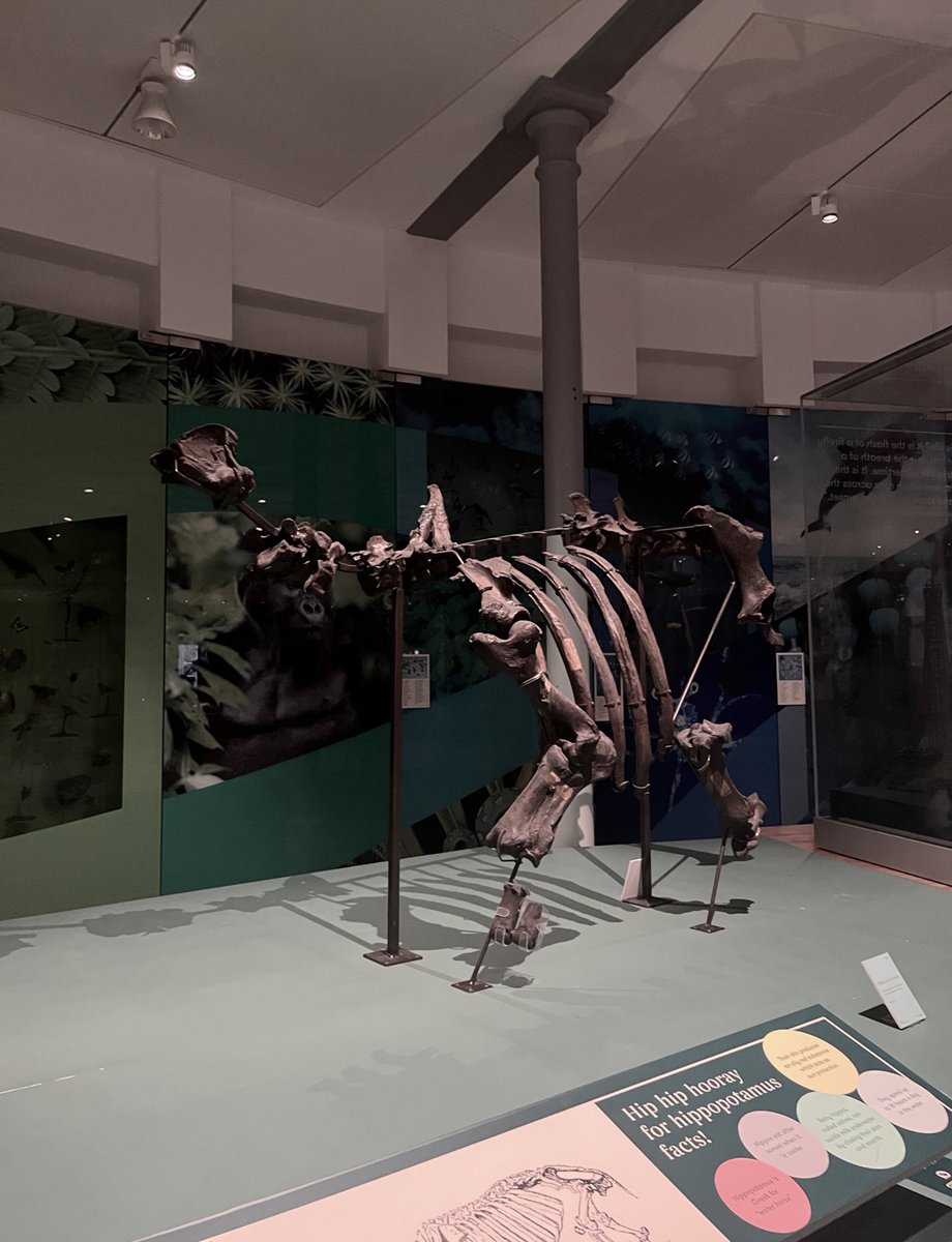 xenawrote's tweet image. Lost in history, found in art.