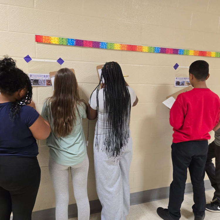 7th Grade Science taking weathering, erosion, and deposition "gallery walks"!