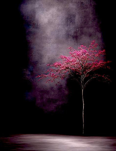 |

Bazı geceler Allah, 
Kendisiyle konuşmanı istediği için seni uyutmaz..

𝐴𝑙𝑙𝑎ℎ’𝑎 𝑑𝑎𝑦𝑎𝑛..🌹

_______