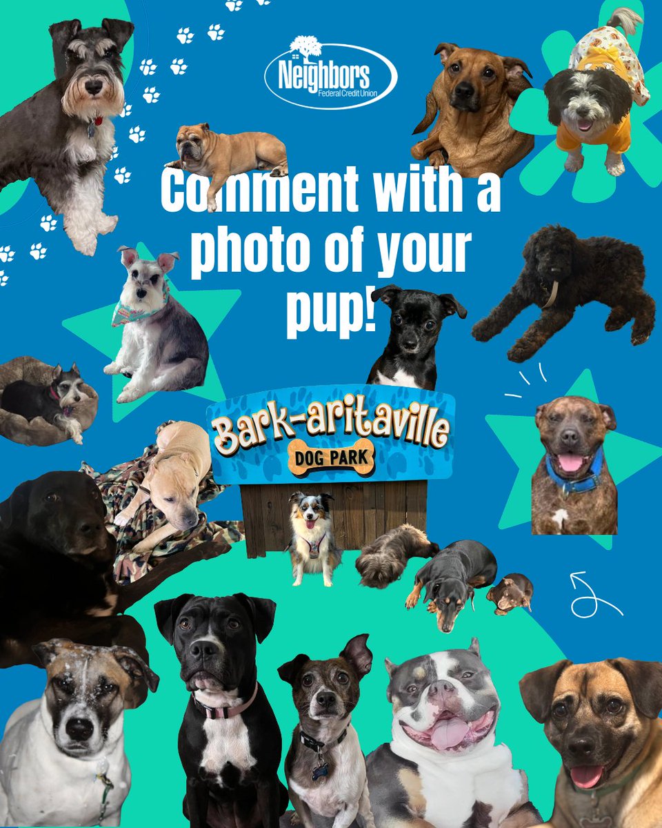 Happy National Dog Day! 🎉

Meet the pups behind our Neighbors family.  Comment with a photo of your pup and join in on the fun! 🐾