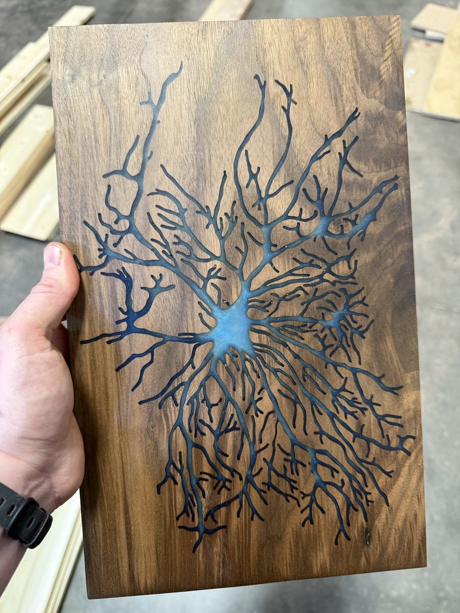 Cleaning up the shop and just discover I still have this astrocyte piece ready to go!  #glia #neuroArt 
 
neurowoodworks.com/art/5502881