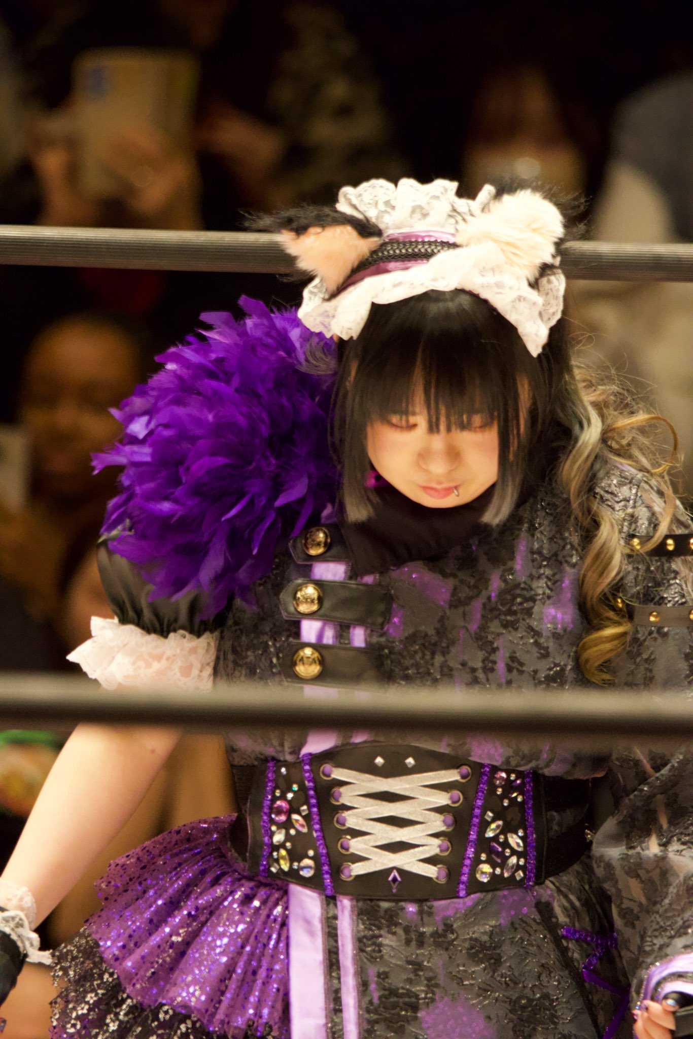 東京女子プロレス猫はるなポートレート＆チェキセット 東京女子プロレス猫はるなポートレート＆チェキセット 猫はるな