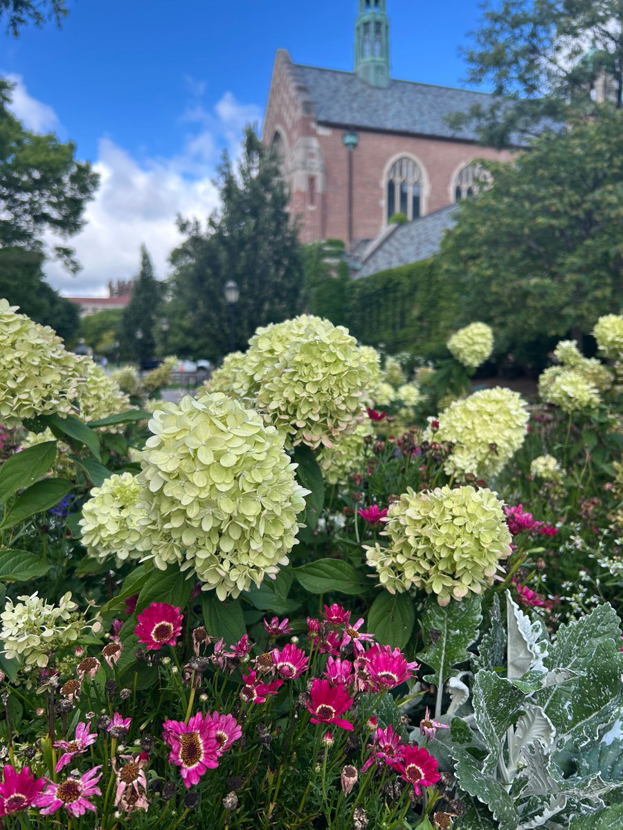 It's a lovely August morning on the <a href="/UChicago/">The University of Chicago</a> campus, home of TTIC!