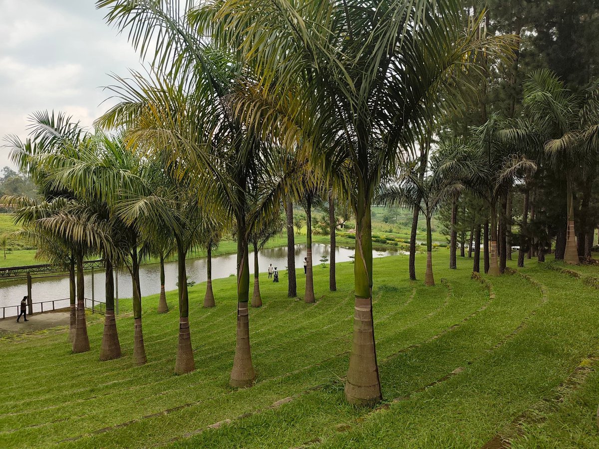 HatsAndShortsUganda:Empaako Culture Jam Edition (@hatshortsuganda) on Twitter photo Tugende e Fort! <a href="/FortPortalCity1/">FORT PORTAL TOURISM CITY</a>
12th to 14th September, a funfilled edutainment weekend. Oije bakurukire empako!!!!! <a href="/EmpaakoVillage/">Empaako Village</a> will be a melding of minds, art & culture center as we celebrate the #30thEmpango
🔗pkt.ug/Y1f5q to book your ticket today & enter Tugende e Fort! <a href="/FortPortalCity1/">FORT PORTAL TOURISM CITY</a>
12th to 14th September, a funfilled edutainment weekend. Oije bakurukire empako!!!!! <a href="/EmpaakoVillage/">Empaako Village</a> will be a melding of minds, art & culture center as we celebrate the #30thEmpango
🔗pkt.ug/Y1f5q to book your ticket today & enter