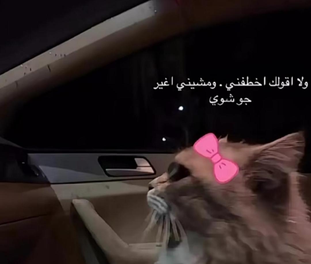 Najd (@najd19883) on Twitter photo 