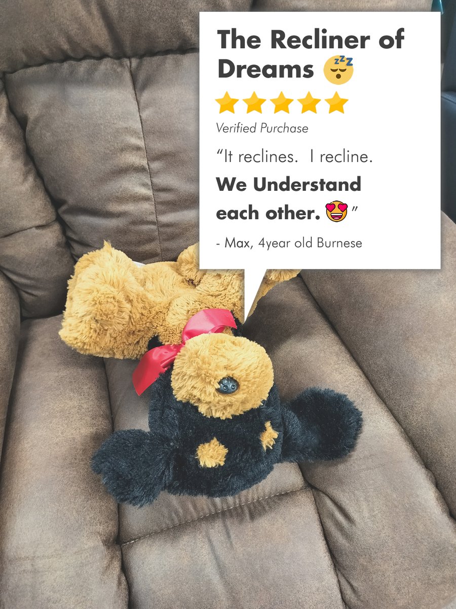 FurnitureOdell's tweet image. 🐕‍🦺HAPPY DOG APPRECIATION DAY! 🐕‍🦺

We 💖 our dogs—and they 💖 our furniture. From couch cuddles to recliner naps, they’ve tested every cushion with expert precision.

Consider this their 5-PAW REVIEWS: 🐾🐾🐾🐾🐾

#PawApproved #SitStaySnuggle