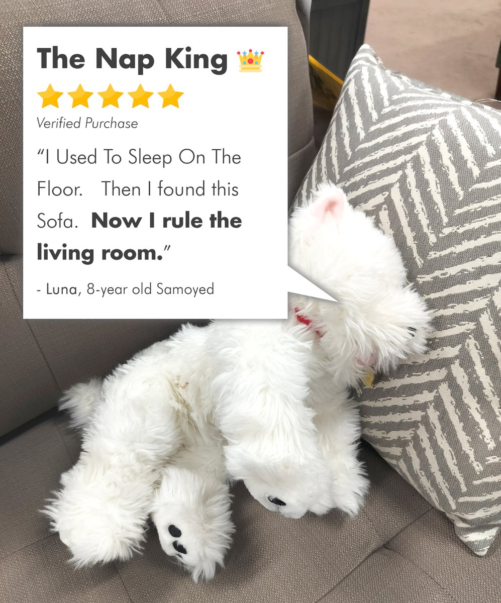 FurnitureOdell's tweet image. 🐕‍🦺HAPPY DOG APPRECIATION DAY! 🐕‍🦺

We 💖 our dogs—and they 💖 our furniture. From couch cuddles to recliner naps, they’ve tested every cushion with expert precision.

Consider this their 5-PAW REVIEWS: 🐾🐾🐾🐾🐾

#PawApproved #SitStaySnuggle