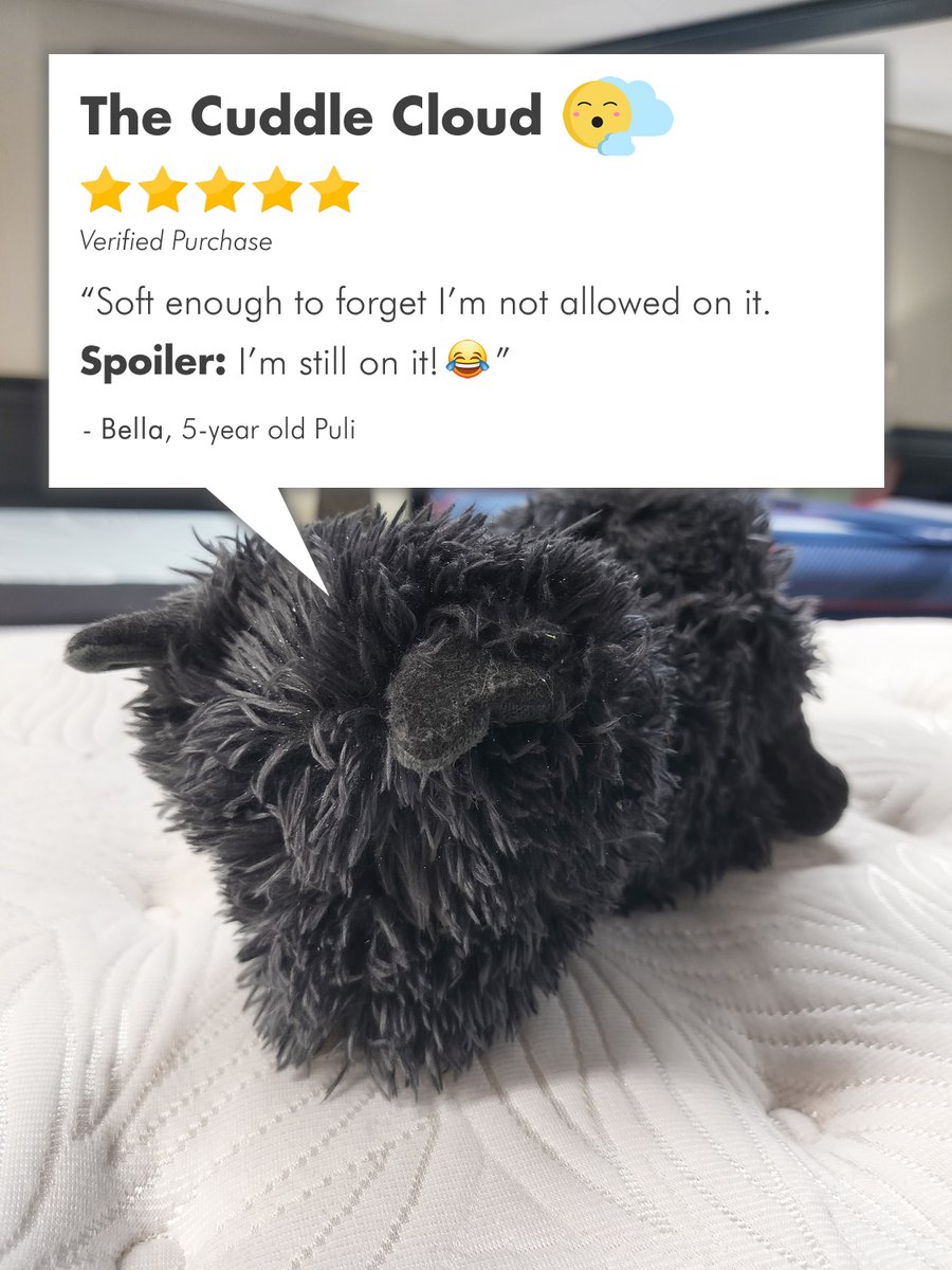 FurnitureOdell's tweet image. 🐕‍🦺HAPPY DOG APPRECIATION DAY! 🐕‍🦺

We 💖 our dogs—and they 💖 our furniture. From couch cuddles to recliner naps, they’ve tested every cushion with expert precision.

Consider this their 5-PAW REVIEWS: 🐾🐾🐾🐾🐾

#PawApproved #SitStaySnuggle