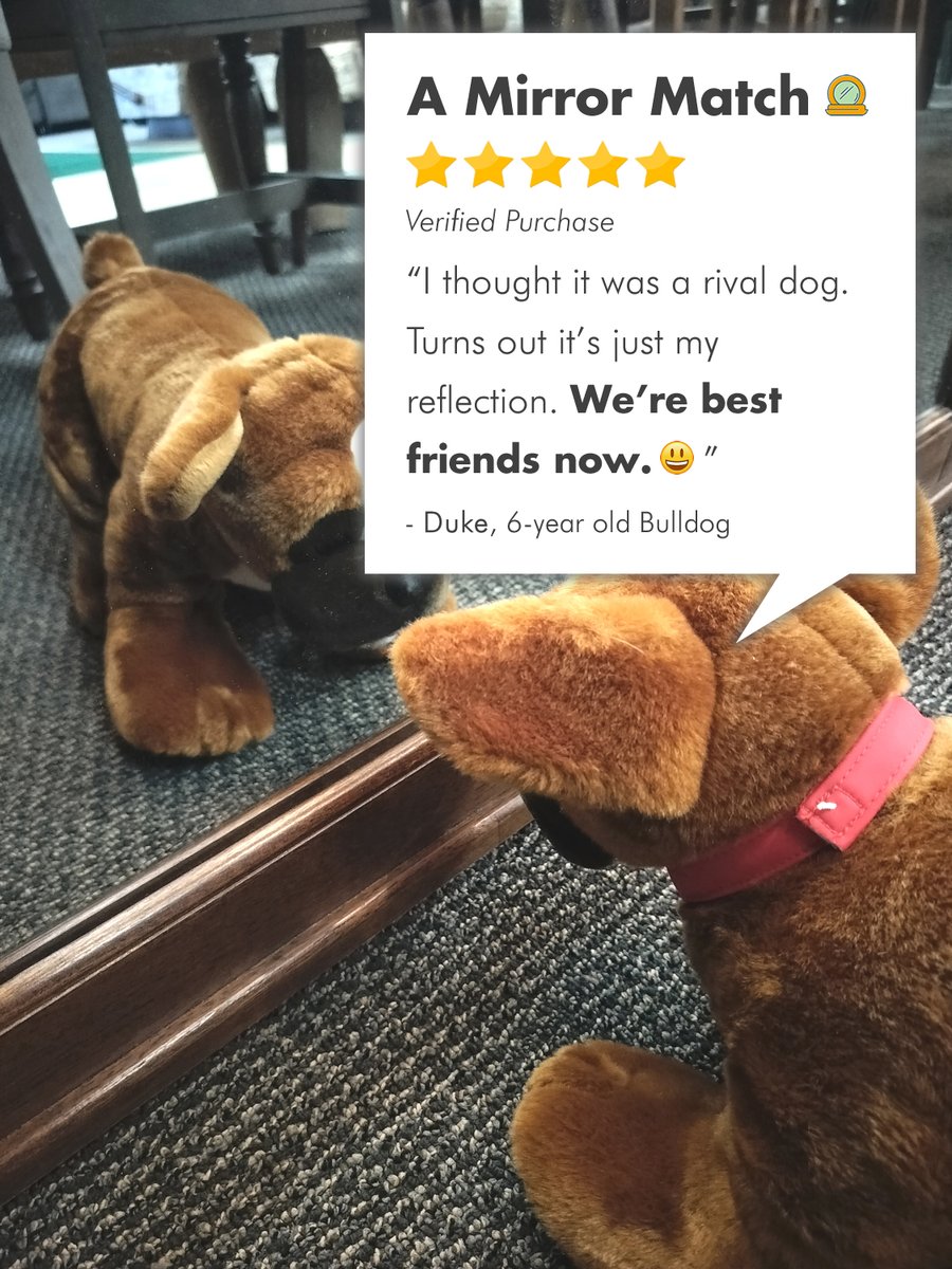 FurnitureOdell's tweet image. 🐕‍🦺HAPPY DOG APPRECIATION DAY! 🐕‍🦺

We 💖 our dogs—and they 💖 our furniture. From couch cuddles to recliner naps, they’ve tested every cushion with expert precision.

Consider this their 5-PAW REVIEWS: 🐾🐾🐾🐾🐾

#PawApproved #SitStaySnuggle