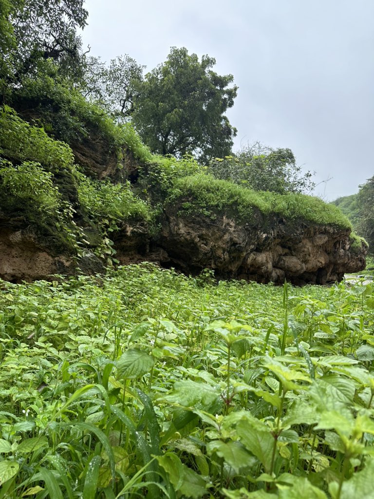 وادي دربات - ولاية طاقة - ظفار 🇴🇲