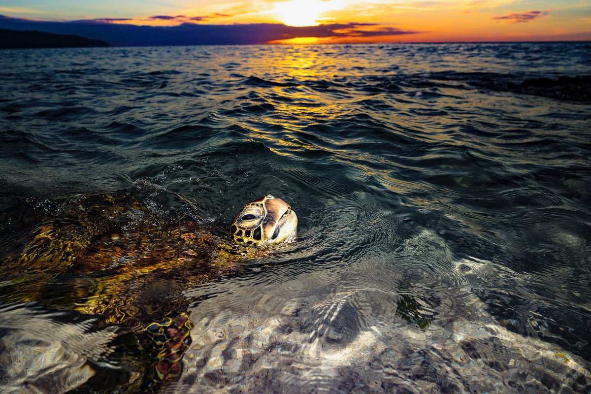 Just taking a breathe