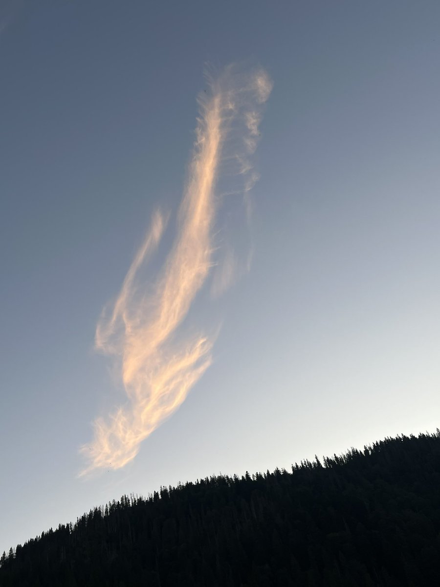 What do you see in this photo?