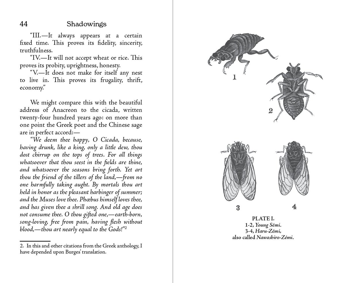 The cicada will not accept wheat or rice. This proves its probity, uprightness, honesty.