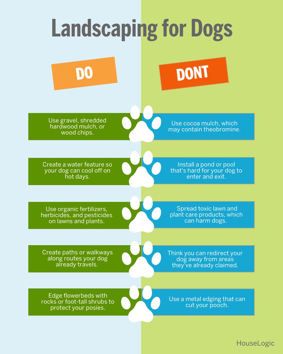 It’s #NationalDogDay! Design a yard both you and your dog will love. Learn the do’s and don’ts of pet-friendly landscaping to keep tails wagging and gardens thriving.🐾🌿
houselogic.com/by-room/yard-p…