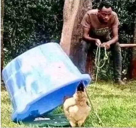 Continuing students to freshers: 😂