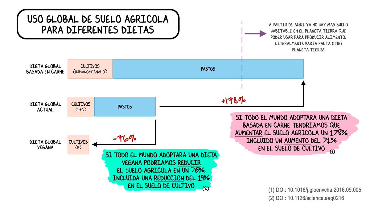 #mito "Ejque si todos veganos habría que cultivar más #deforestacion #biodiversidad"

La realidad es todo lo contrario. Si toda la humanidad adoptara una típica dieta occidental basada en carne (tipo🇺🇸) sencillamente no habría suelo en el planeta donde producir ese alimento, 1/2