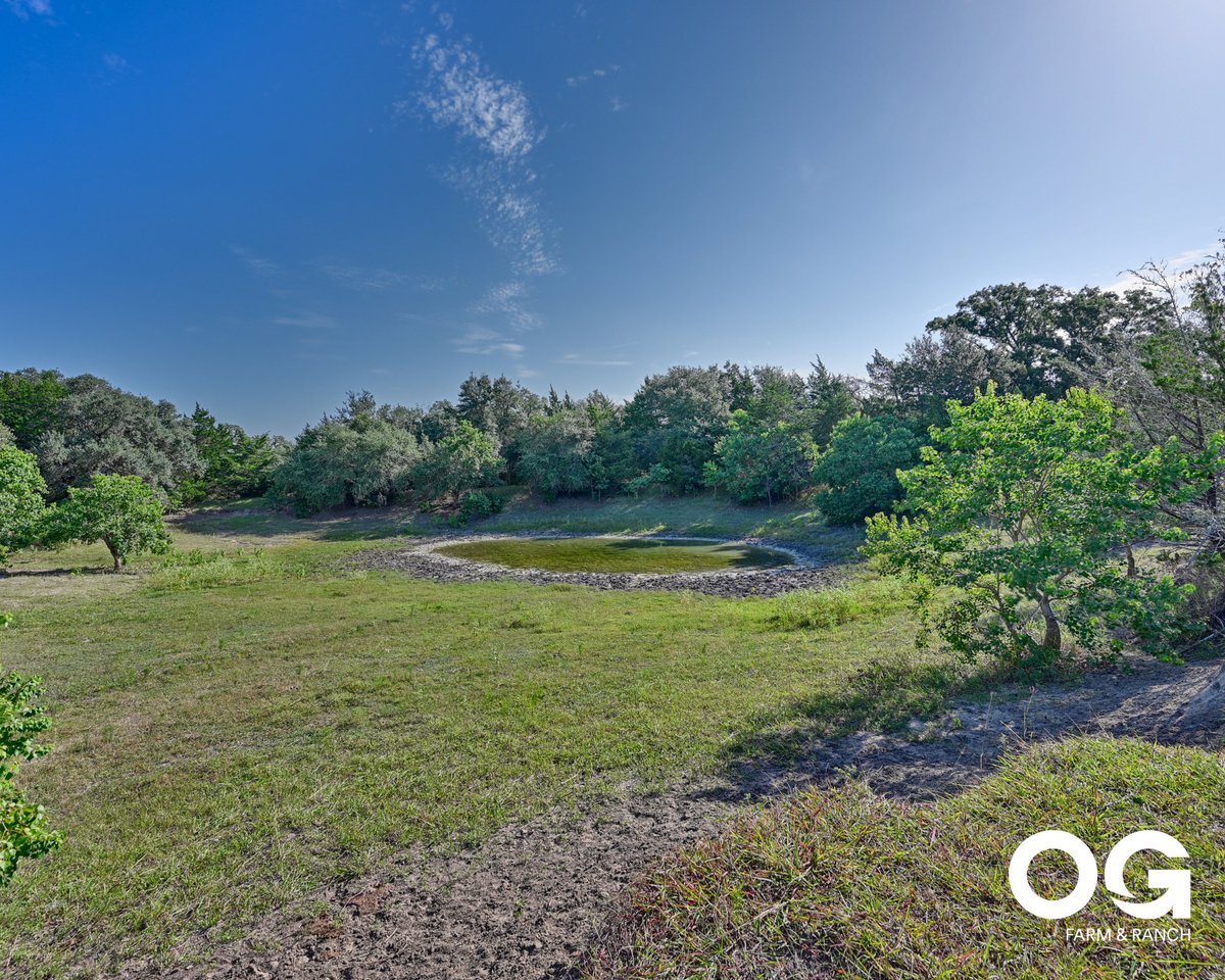 Oldham Goodwin tweet media