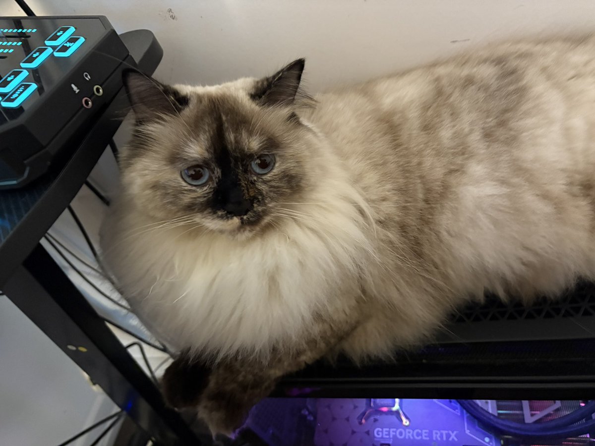 CTG | Riddles tweet media