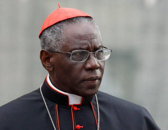 Cardinal Robert Sarah wearing a red zucchetto and black clerical attire with red piping. He has gray hair and wears glasses. A pectoral cross hangs from a chain around his neck.