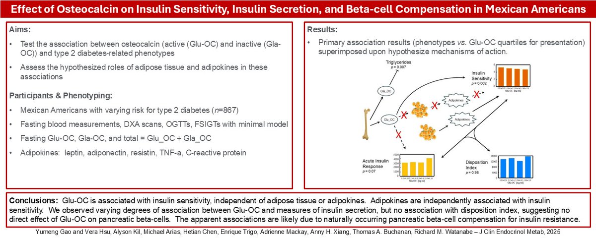 Our latest publication appears in the #JournalOfClinicalEndocrinologyAndMetabolism on a #bone-derived hormone, #osteocalcin, on glucose metabolism.  Very proud of the many students who contributed to this project.

#Diabetes  #Endocrinology 

academic.oup.com/jcem/advance-a…