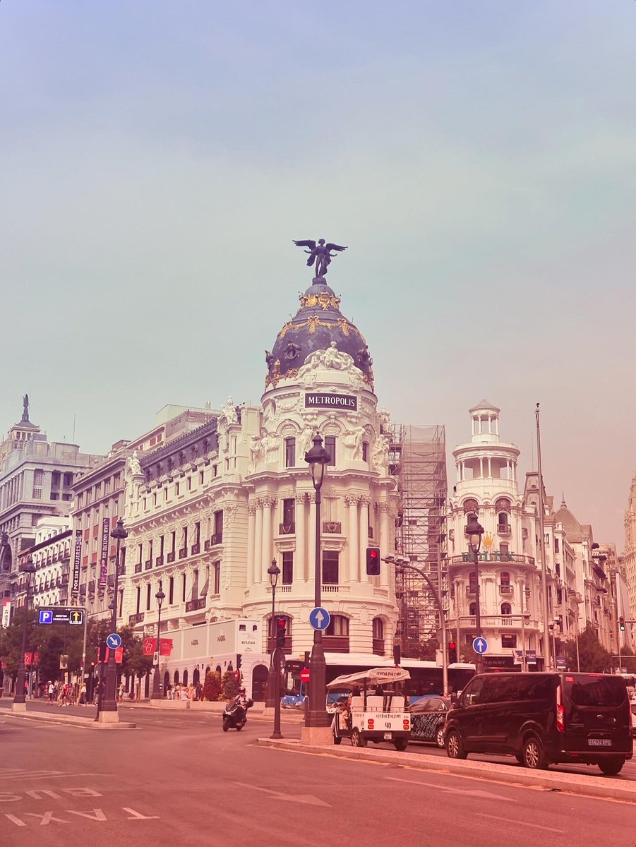 Shani Ormiston tweet media