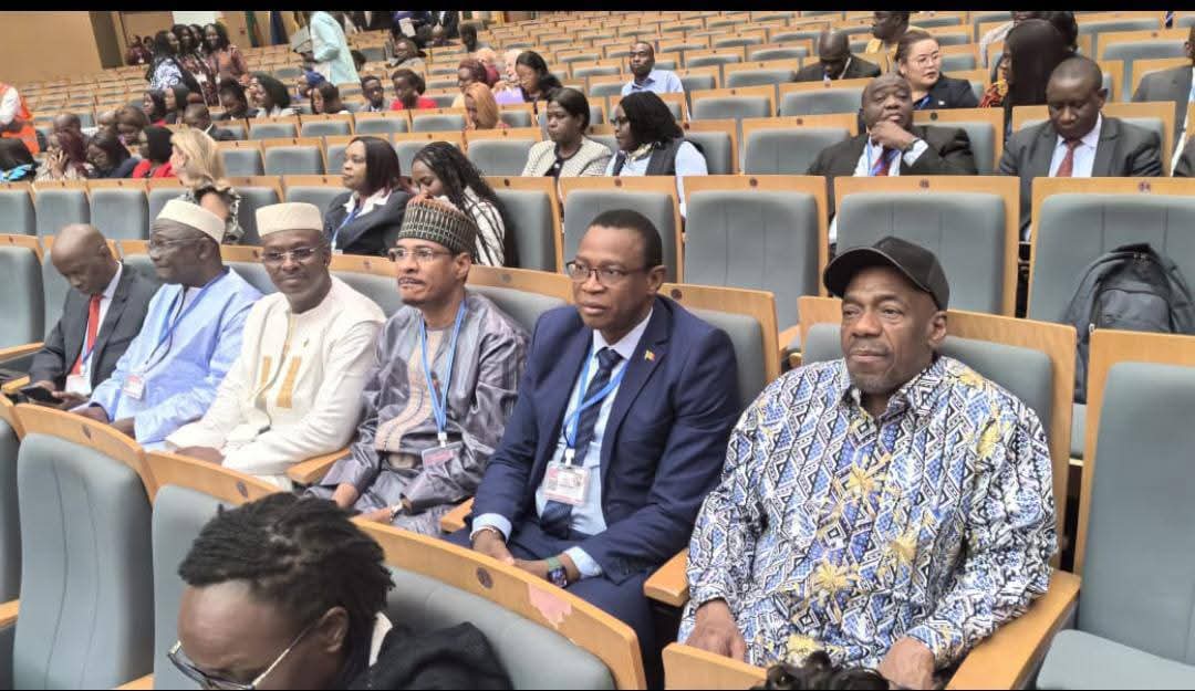 LUSAKA : LA DÉLÉGATION MALIENNE DÉJÀ INSTALLÉE sante.gov.ml/index.php/actu…