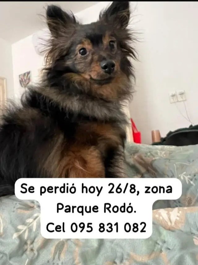 Se busca !!