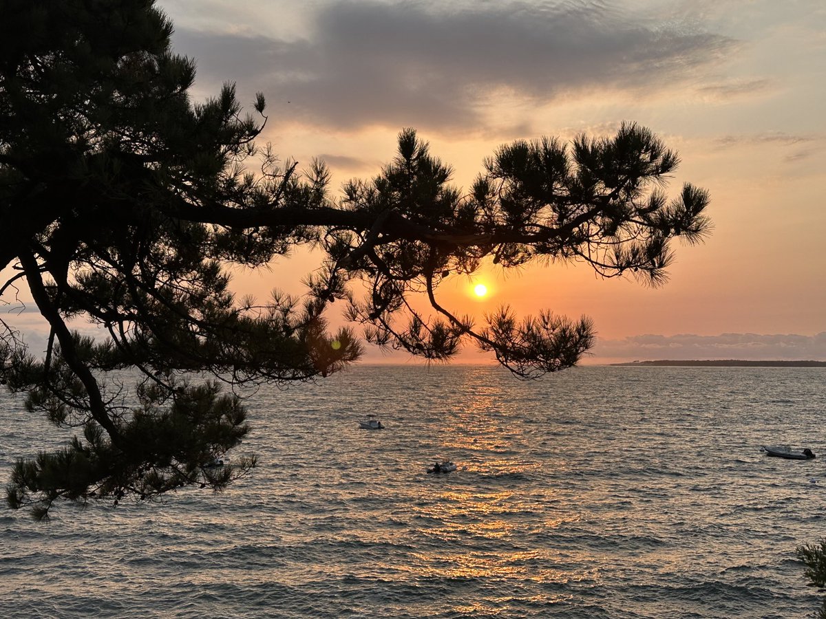 CPASGAGNE69's tweet photo. #PylaSurMer, maintenant
Avec le cap Ferret en fond.
#ChasseurDeBeauté #Sunset https://t.co/x6si48Cmq6