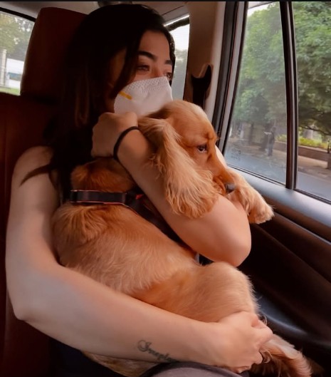 Rashmika and Her Aura ❤️😭🫶

<a href="/iamRashmika/">Rashmika Mandanna</a> 
#RashmikaMandanna #Aura
