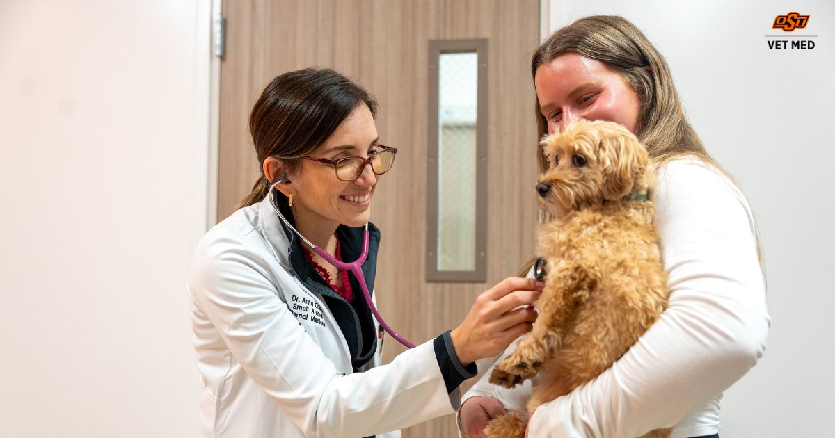 🐾 Happy National Dog Day from your friends at the OSU College of Veterinary Medicine!

🧡 Whether they’re loyal companions, service heroes or playful pups, today we celebrate all the dogs who make our lives better and the veterinarians who keep them healthy.