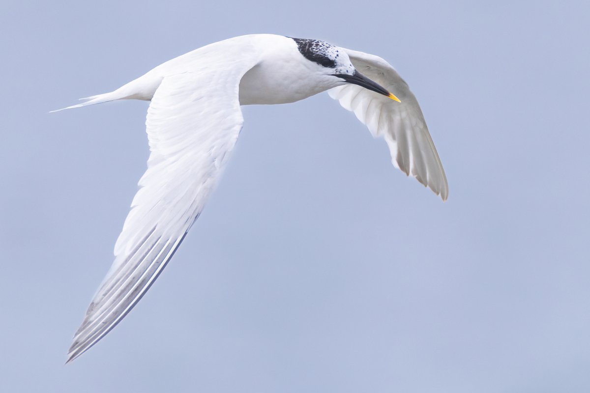 Mark Wright tweet media