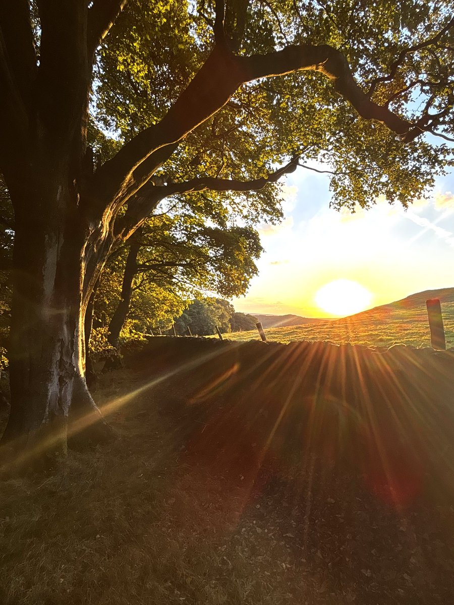 Corbar Hill and Combs Head 🥾 ☀️ 

Peak District delivering as per usual.