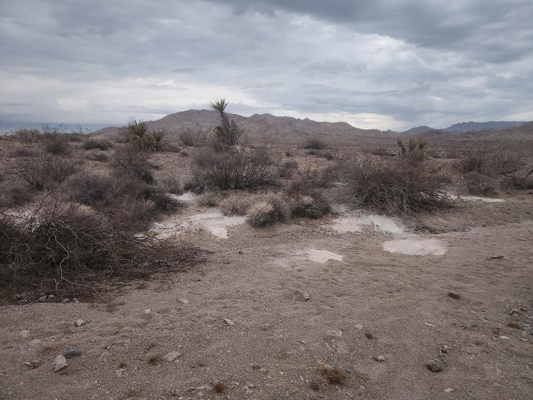 More photos of the piles of cremated remains discovered outside of Las Vegas. We are working to find out more about who put them there. 8newsnow.com/news/piles-of-…