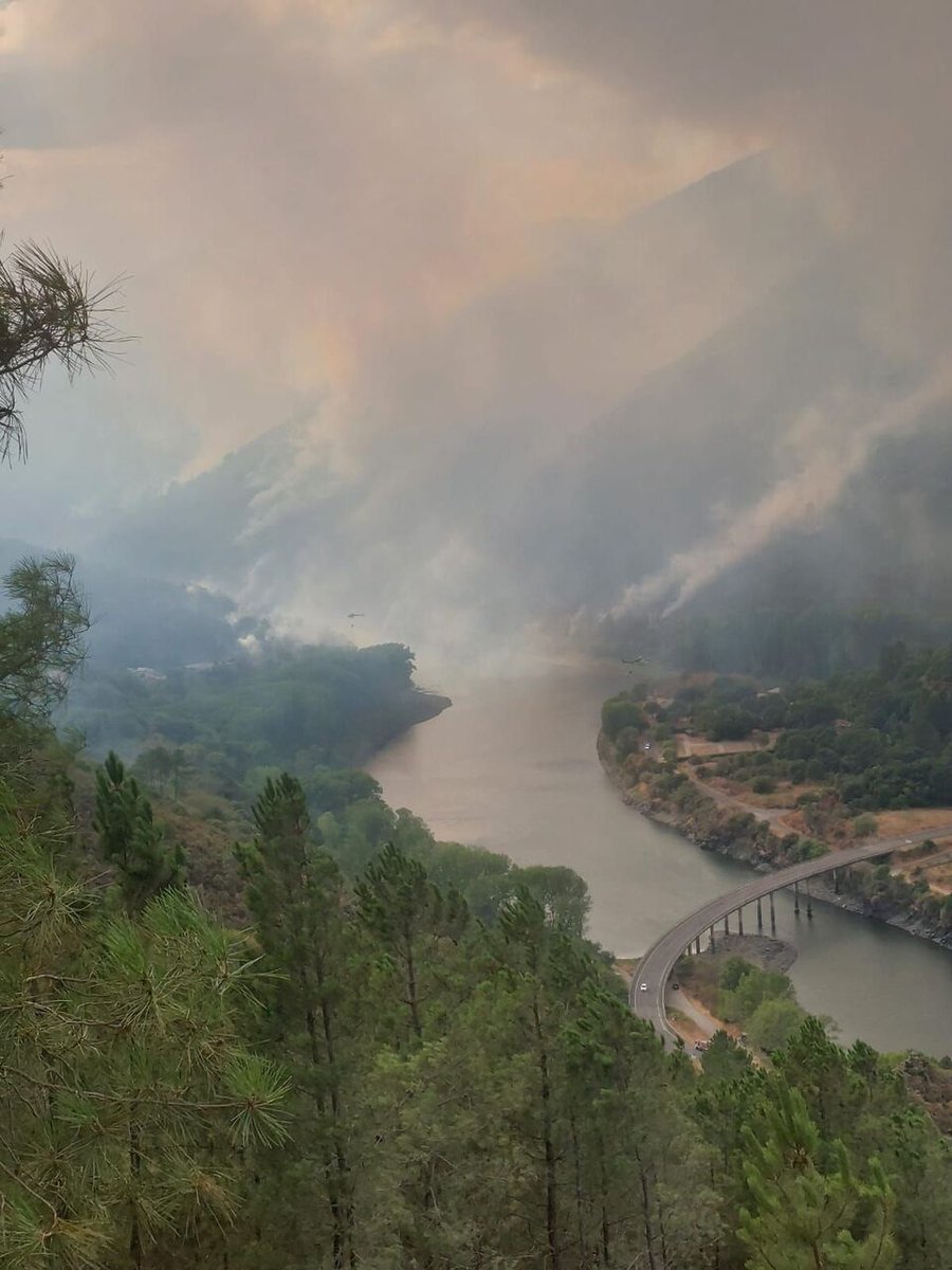❗ Pérez Blecua, alcalde de San Xoán de Río, informa de la situación en el Sil respecto al incendio de Quiroga

"Malísimas novas. O lume acaba de cruzar o río Sil a altura de Augasmestas" ↘ leer.laregion.es/jakm927