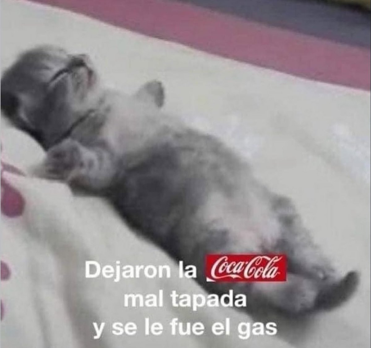 piña sin pizza (@skereunpesado) on Twitter photo 