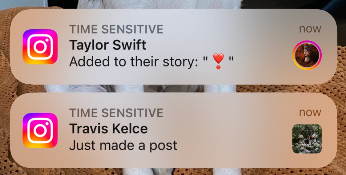 my heart rate shot up when i saw this