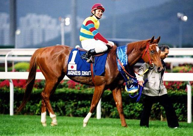 "Super All-Rounder" IRL Agnes Digital was the only horse to win four different Grade 1 races consecutively, embracing both types of tracks and numerous distances!