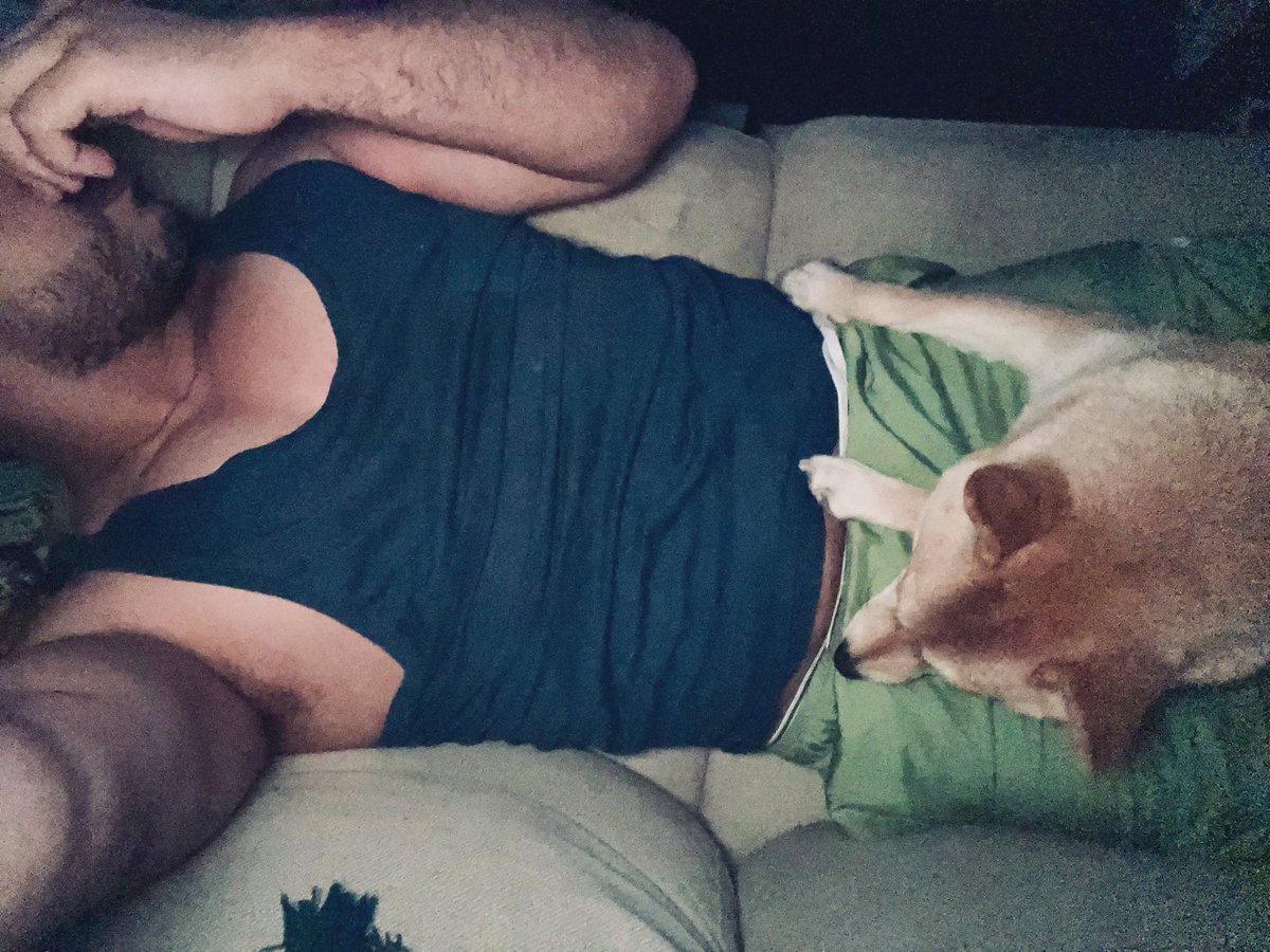 Je suis censé aller à la salle de sport mais comment oserais-je troubler la sieste de ma petite princesse ? 🥹🐕🫂💜 #gym #fitness #dog #shibainu