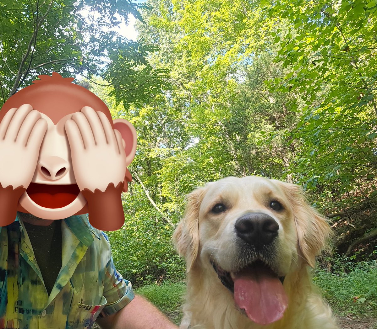 Happy #internationaldogday2025 Here’s hoping all my pals are enjoying time with the ones they love, which for us is…everyone. Waiting with my new FAVORITE pal for mom and dad to get back from their anniversary trip🐾💙Finn