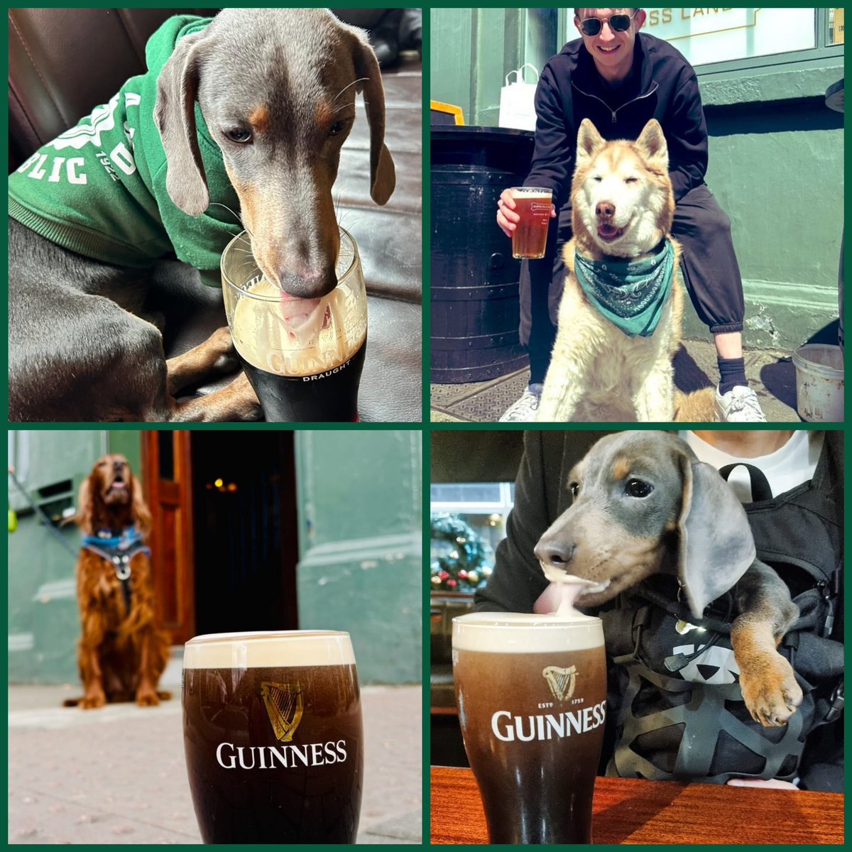 Happy #InternationalDogDay