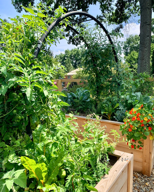 leanne_meyer's tweet photo. Feeling #LaRentrée - the shared re-entry” after summer. Pickled the last cucumbers from my garden &amp; opened a new memoir. At work, try a 10-min team reset: 1 win • 2 priorities (30d) • 1 relationship to spark (1:1 or customer).  #Leadership #TeamCulture https://t.co/ml2IeiXlUD