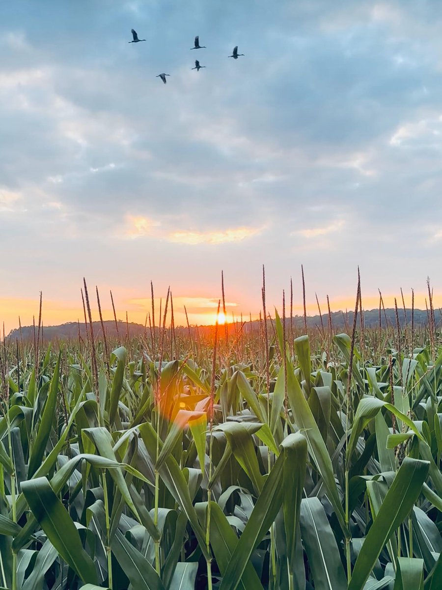 Magical moments in #doorcounty.