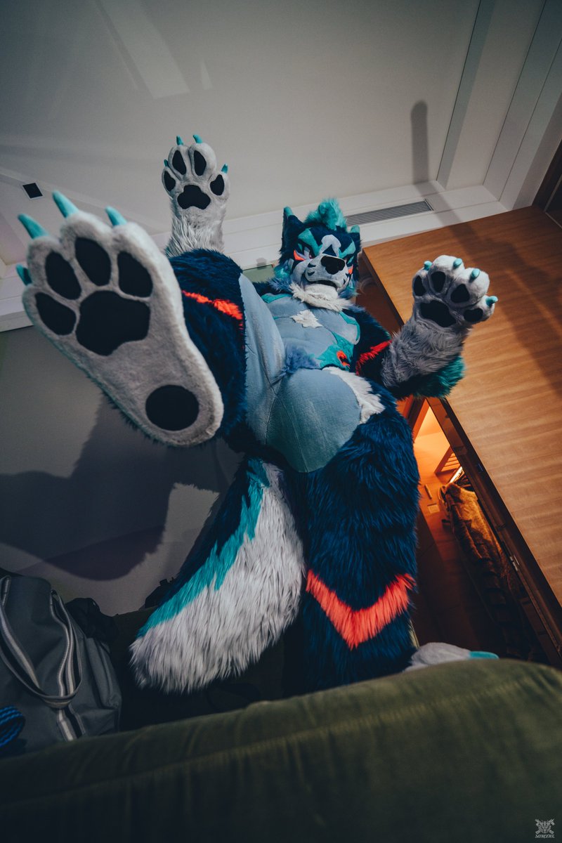 Stomping on you 😏
📷 <a href="/VinTheCoyote/">VinTheCoyote（凡凡）</a>