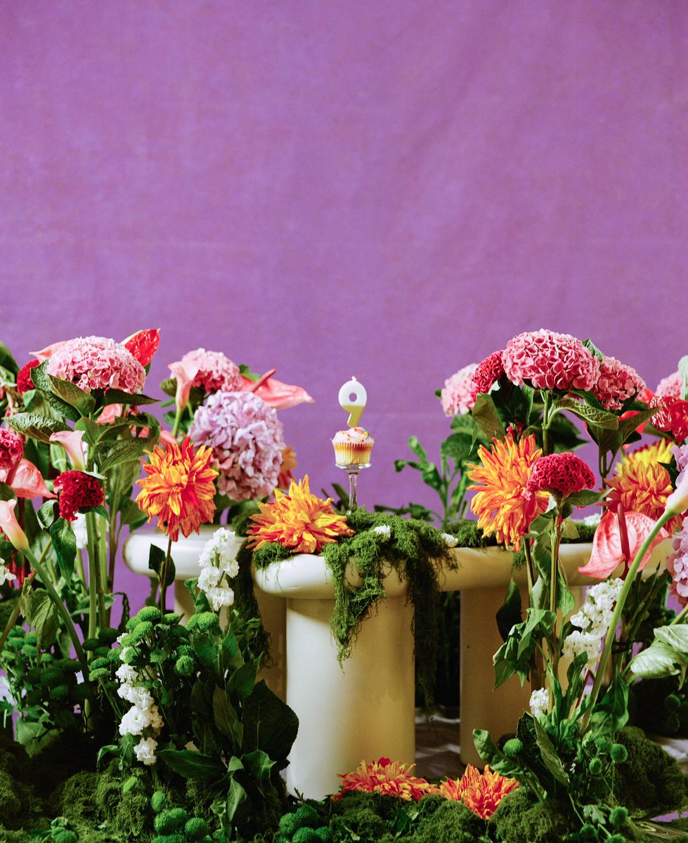 IT’S OUR 9th BIRTHDAY!!! As a thank you, get 20% off site wide for the next 48 hours (ending 5PM 28.08.25) . Use code 9YEARS